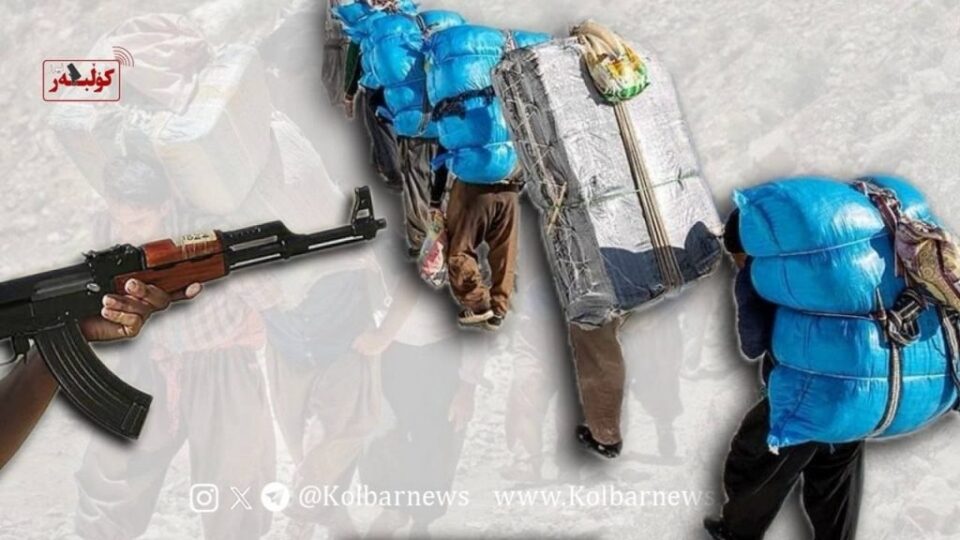 برینداربوونی كۆڵبه‌رێك له‌ سنووری بانه 1 25