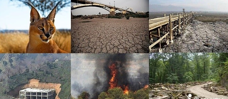 وتەیەک بە بۆنە ڕۆژی جیهانیی ژینگە