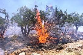 سووتاندنی به‌ ئه‌نقه‌ستی دارستانه‌كان له‌ داڵاهووی كرماشان
