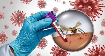 ده‌ستنیشانكردنی ٢٥٩ تووشبووی ته‌بی ده‌نگی له‌ ئێران