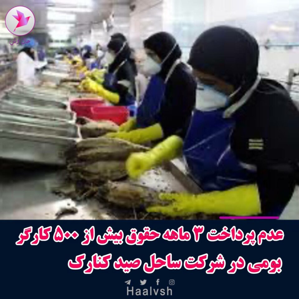 ناڕه‌زایه‌تی كرێكارانی شاغڵ له‌ شیركه‌تی ساحلی كۆناره‌ك 1