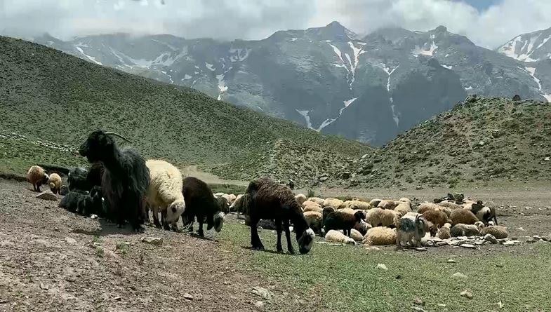 په‌ره‌سه‌ندنی نائه‌منی له‌ هه‌رێمی كوردستان و عێراق